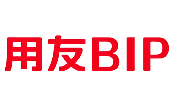 用友实施服务